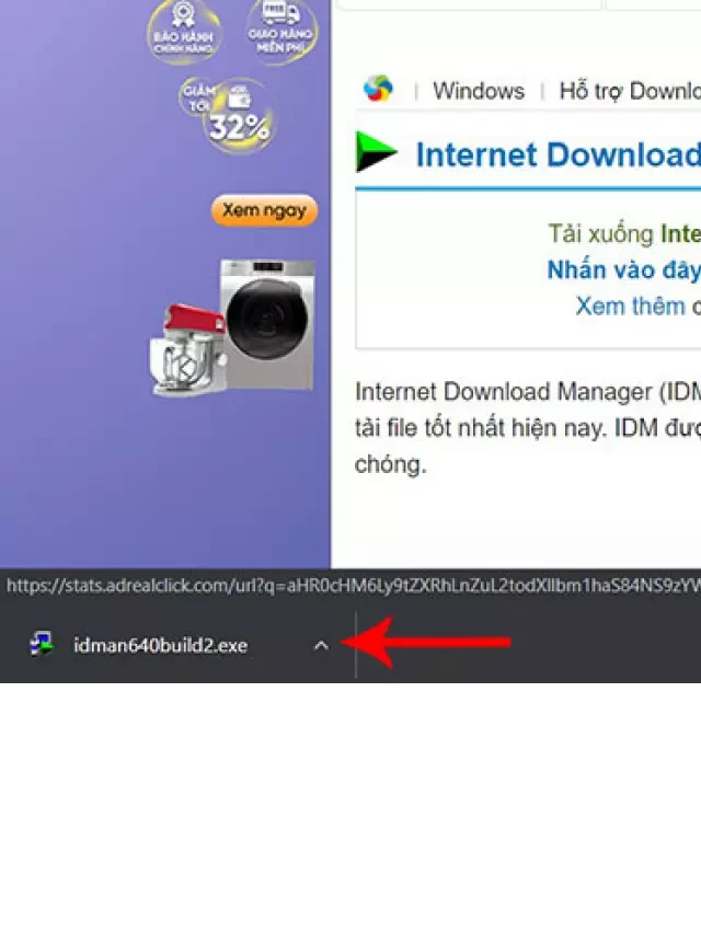   Hướng dẫn tải và cài đặt Internet Download Manager - Quản lý tải xuống chuyên nghiệp