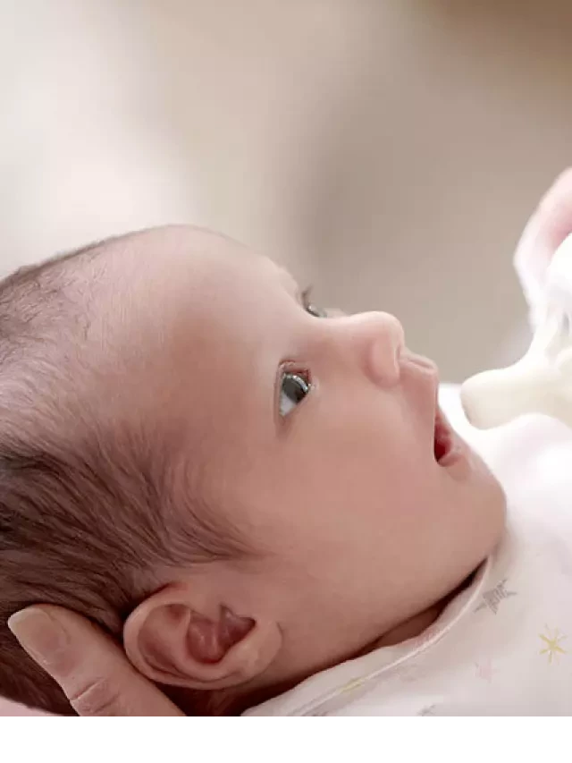   Đánh giá Top 15+ Bình sữa cho trẻ sơ sinh Tốt Nhất