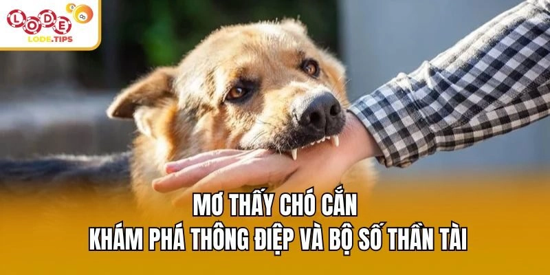 Mơ Thấy Chó Cắn – Khám Phá Thông Điệp Và Bộ Số Thần Tài