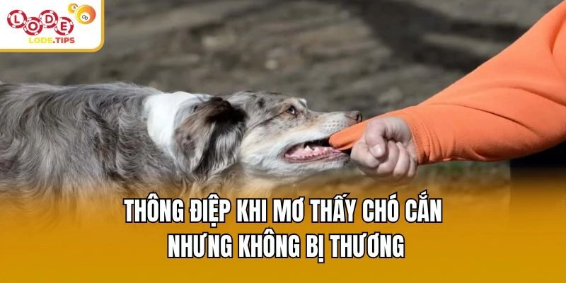 Thông điệp khi mơ thấy chó cắn nhưng không bị thương
